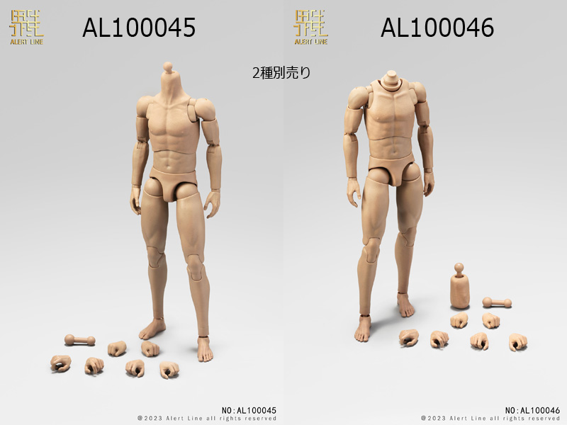 【AlertLine】AL100045/AL100046 MALE ACTION BODY 1/6スケール 男性ボディ素体 デッサン人形