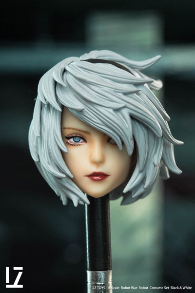 LZ TOYS】SET003 1/6 Beauty Headsculpt 1/6スケール 女性ヘッド