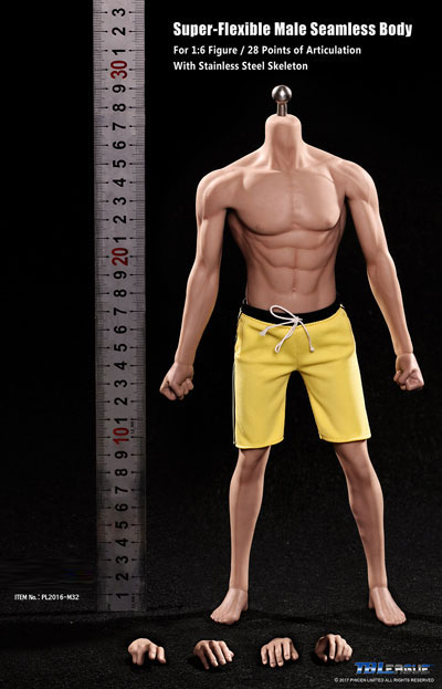 【TBLeague】Super flexible Asia Male Seamless Body PL2016-M32 ファイセン 1/6スケール シームレス男性ボディ（ヘッドなし）