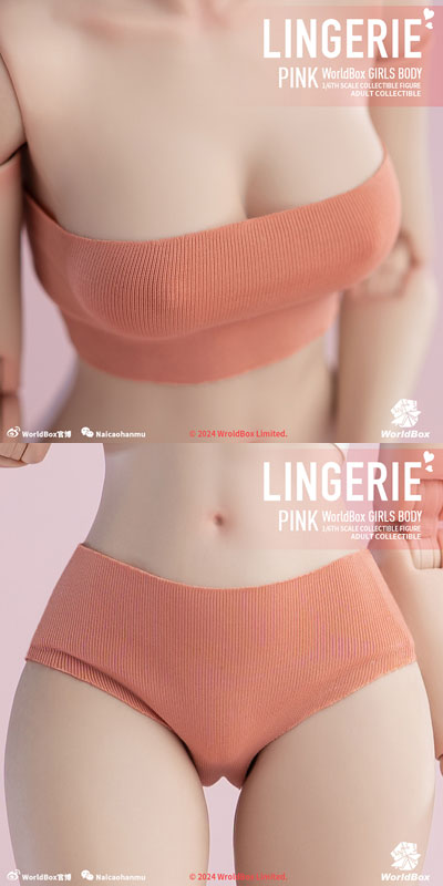 【WorldBox】ca013 1/6 LINGERIE White/Beige/Pink 女性 ランジェリー アンダーウェア 1/6スケール 女性コスチューム セット